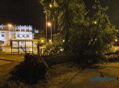Mnóstwo interwencji. Mogą wystąpić kolejne burze [ZDJĘCIA]