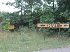 Rusza kopalnia. Kuria nie zapłaci ponad 2,6 mln zł rekompensaty za wycięcie drzew. Dlaczego?