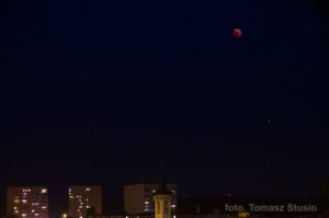Fot. Tomasz Stusio 2